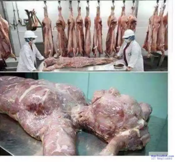 Shocking!!! Is China Selling Human Flesh As Food To Africans? (Graphic Photos)